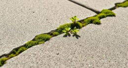 self healing bio concrete infrastructure