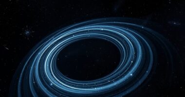 black hole gravitational wave