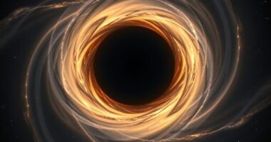ligo detects black hole waves