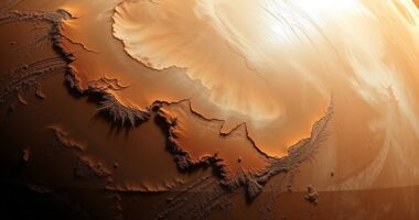 mars ozone polar accumulation