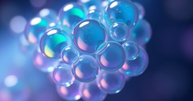 rna based kidney therapy