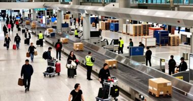 airport delays reveal supply chain issues