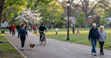 consistent daily movement benefits