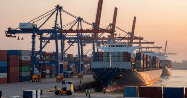global food export restrictions
