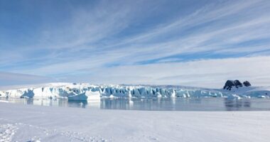 global importance of polar research