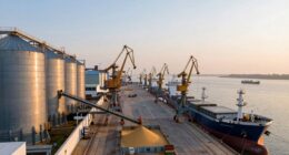grain logistics and trade