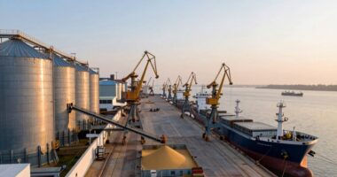 grain logistics and trade