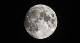 lunar new moon science
