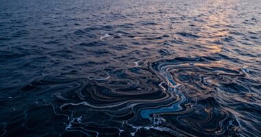 ocean circulation and climate