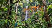 procurement discusses biodiversity impact