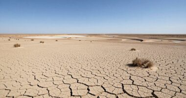 regional impact of drought