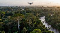satellite data enhances conservation