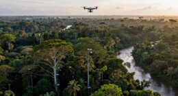 satellite data enhances conservation