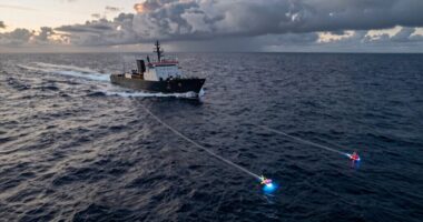 undersea cable industry rivalry