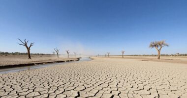 water scarcity threatens stability