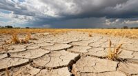 weather driven food price shock