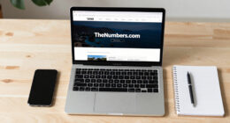 What Happened To TheNumbers.com