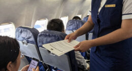 You're the crew of the world's worst airline in Dear Passengers and it looks hilarious