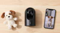 15 Best Pet Cameras in 2026